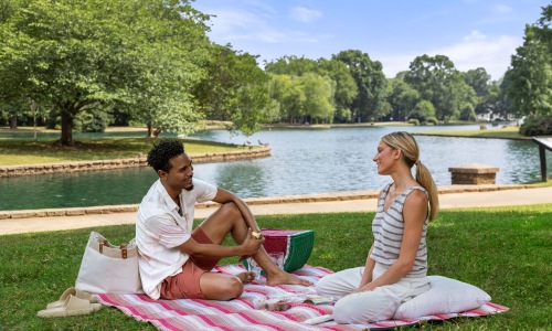 Couple having a picnic in the park