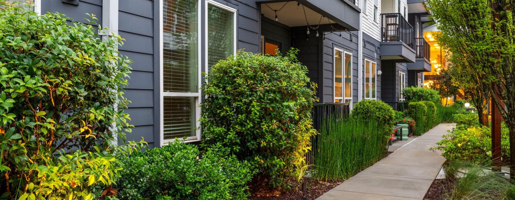 a sidewalk with bushes and trees